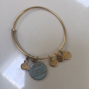 A Dream is a Wish Your Heart Makes Alex and Ani